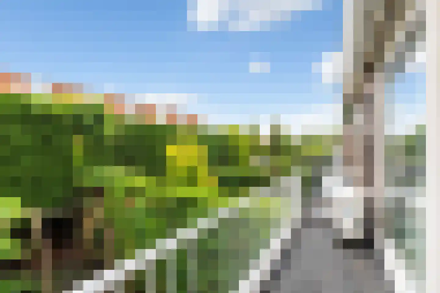 Lindesingel 120 Rotterdam thumbnail 39