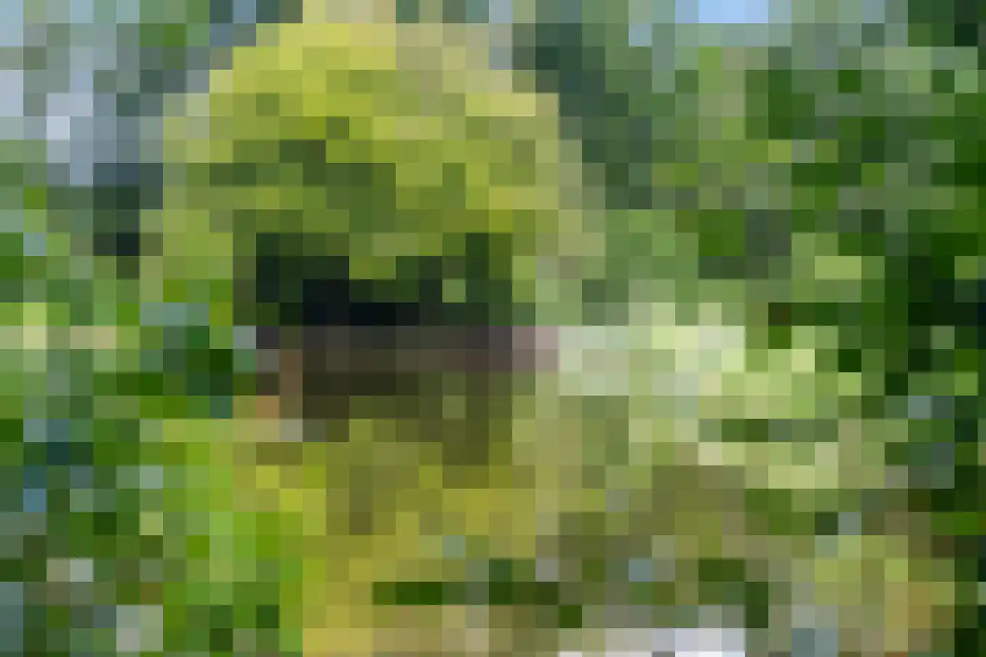 Lindesingel 120 Rotterdam thumbnail 5