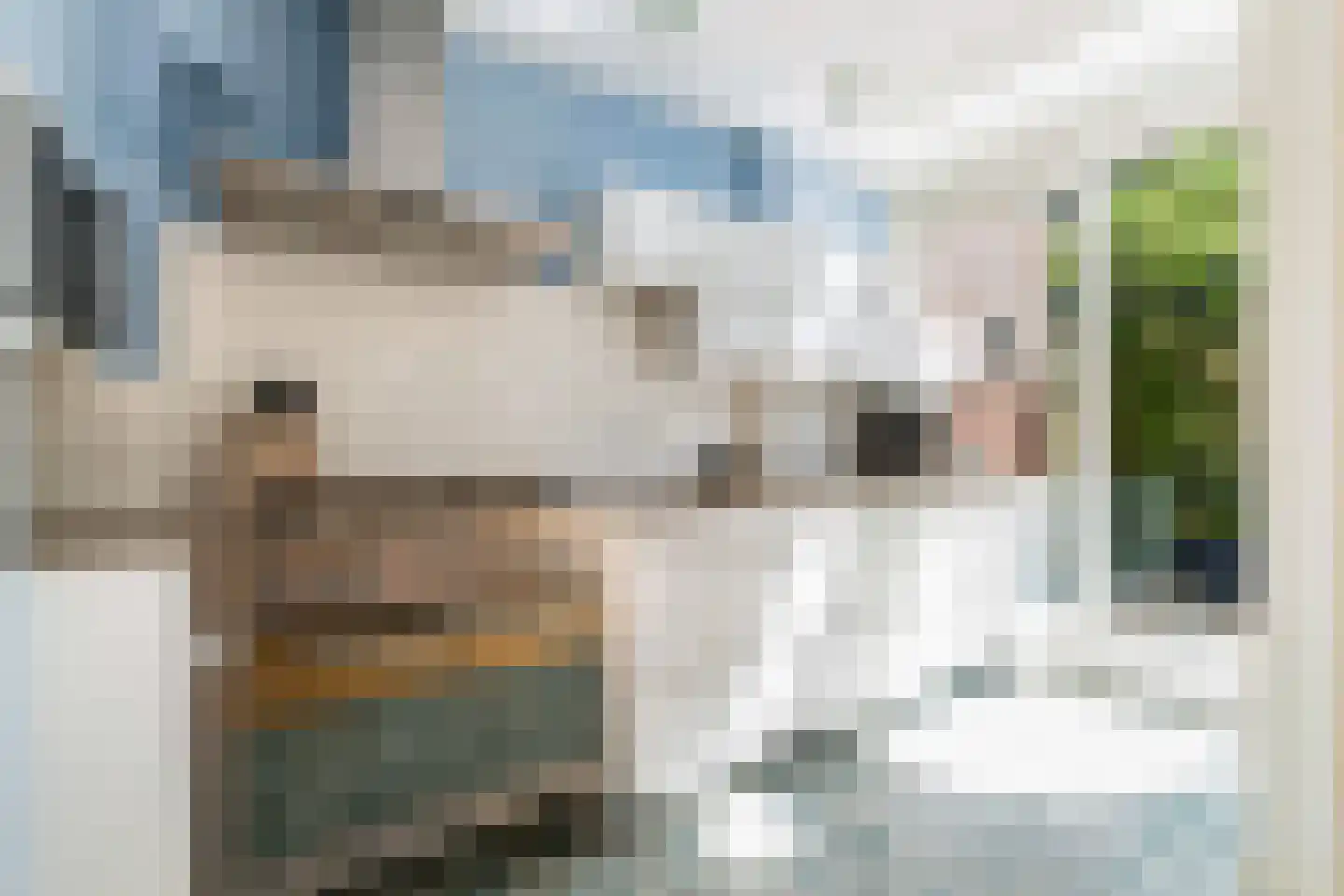 Lindesingel 120 Rotterdam thumbnail 7