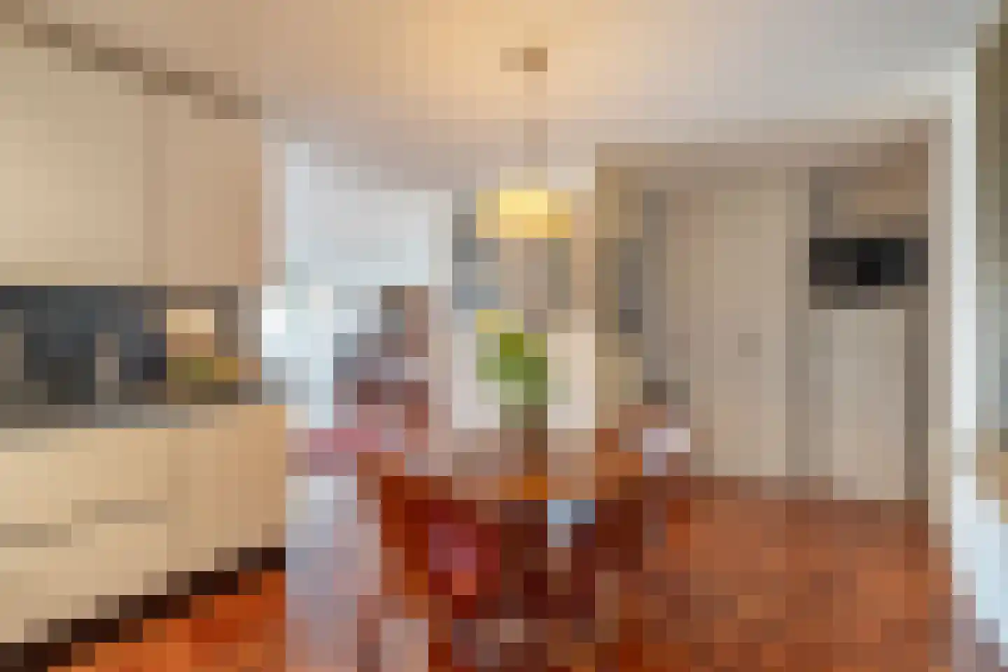 Lindestate 11 Purmerend thumbnail 19