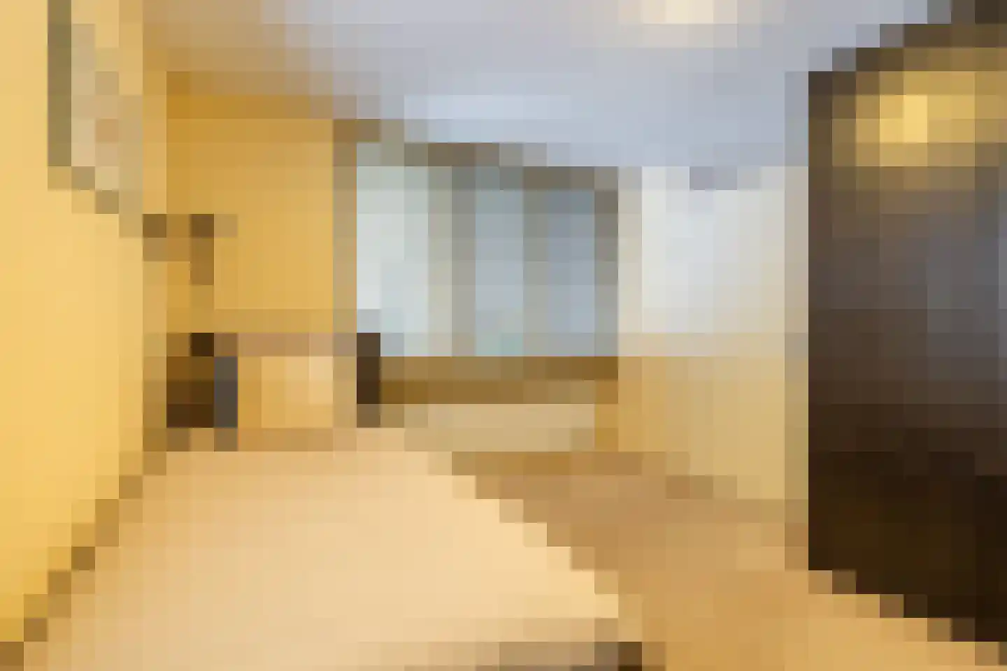 Lindestate 11 Purmerend thumbnail 23