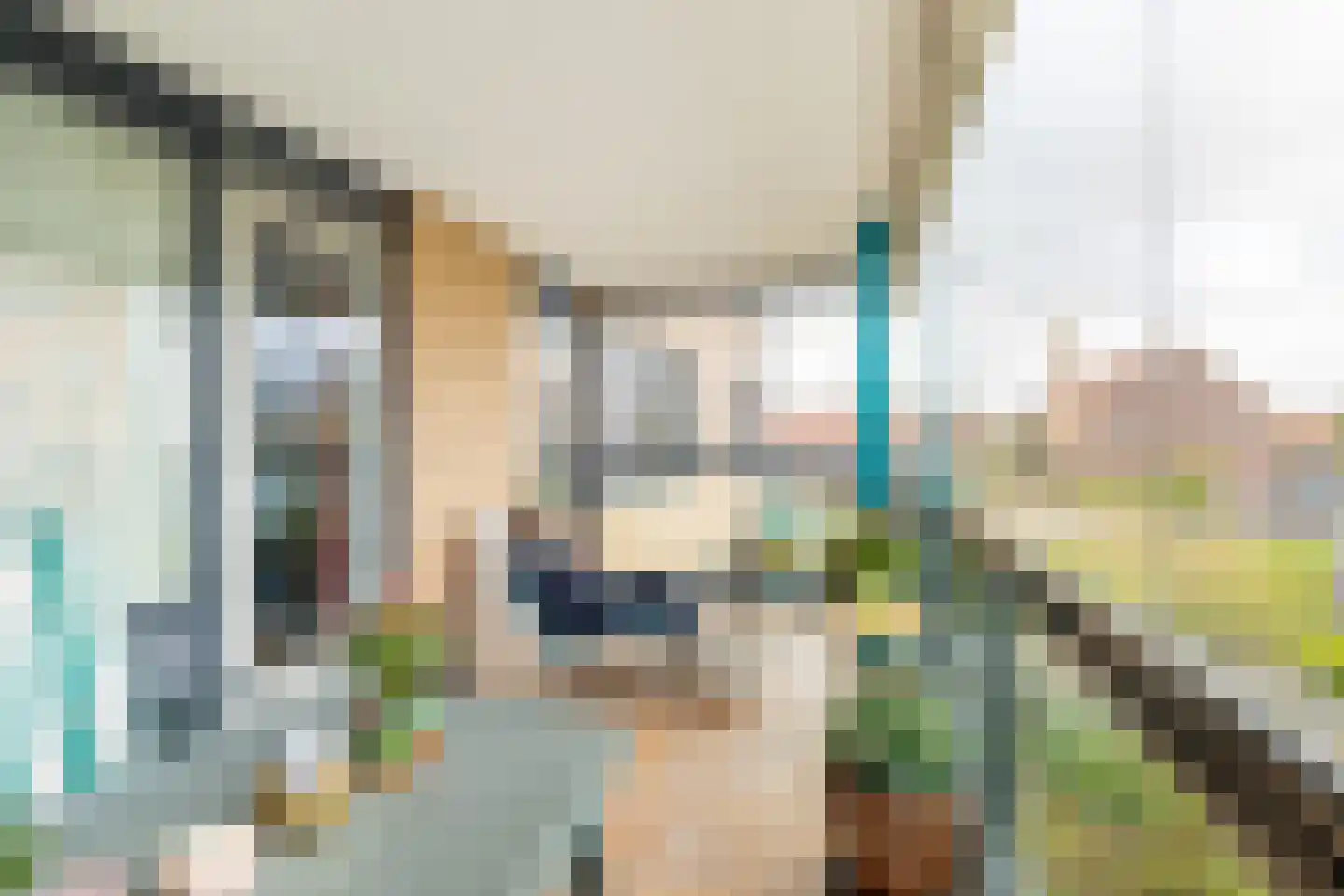 Lindestate 11 Purmerend thumbnail 28