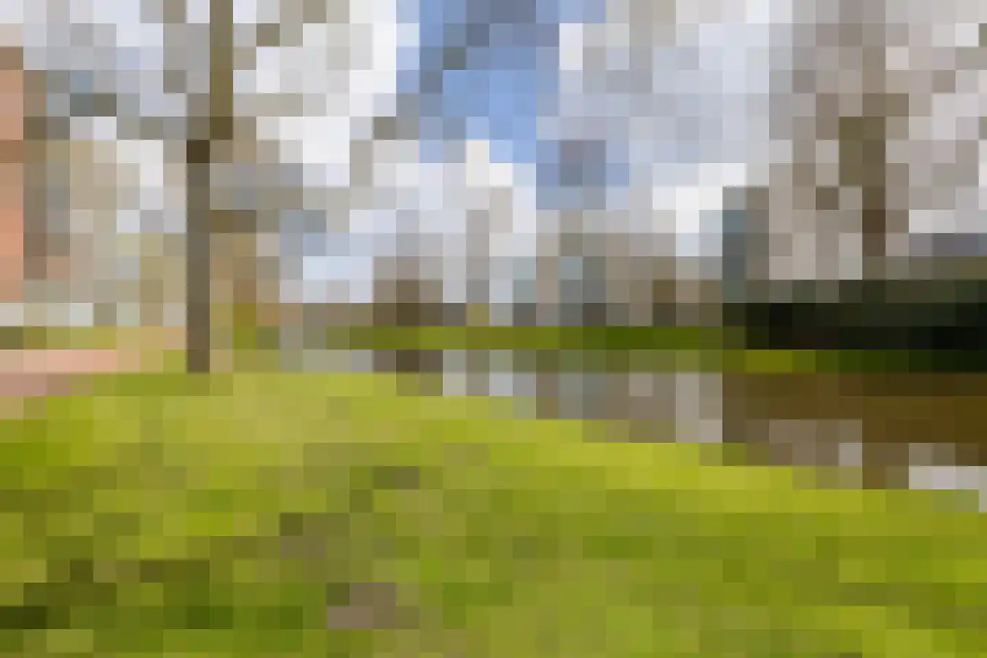 Lindestate 11 Purmerend thumbnail 34
