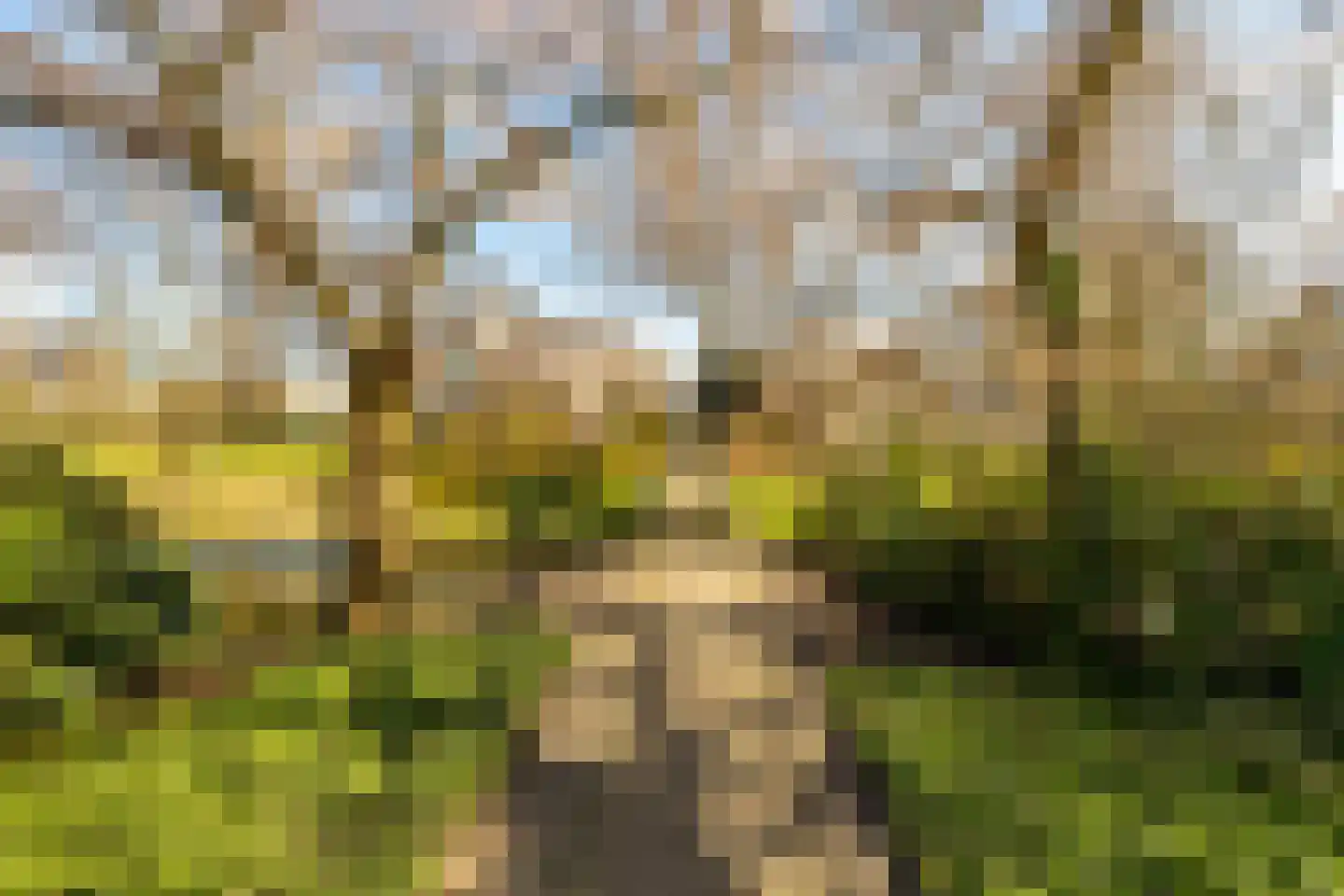 Lindestate 11 Purmerend thumbnail 35