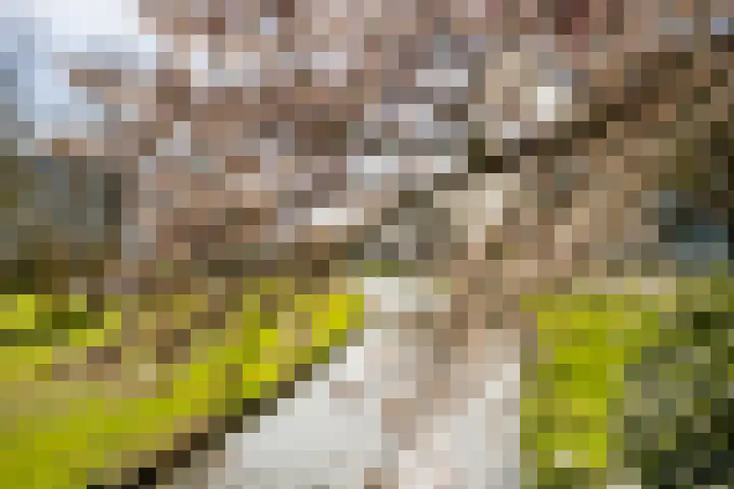 Lindestate 11 Purmerend thumbnail 36