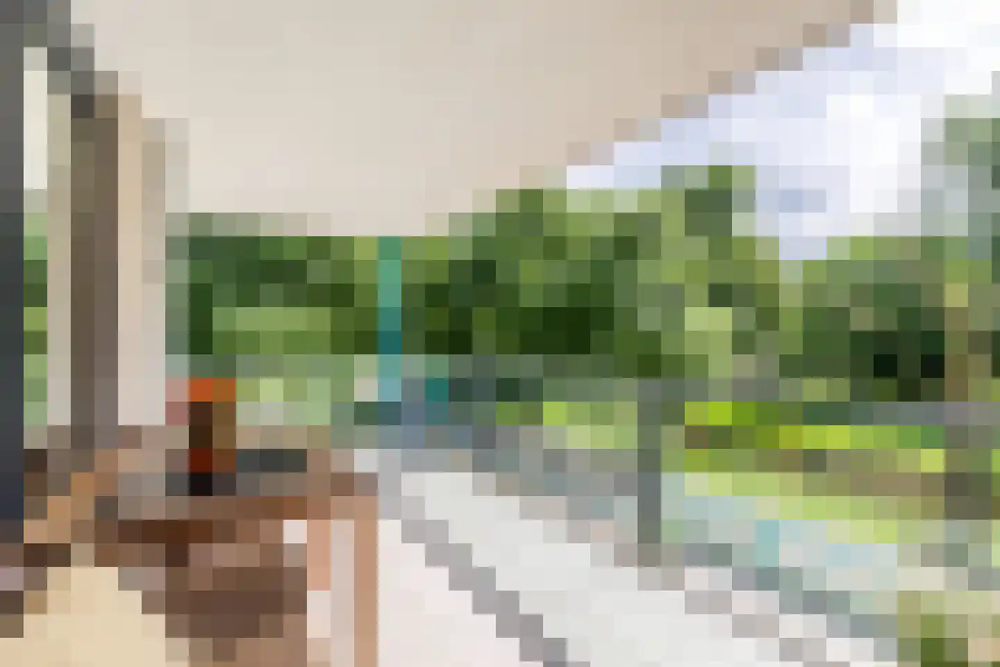 Lindestate 18 Purmerend thumbnail 13