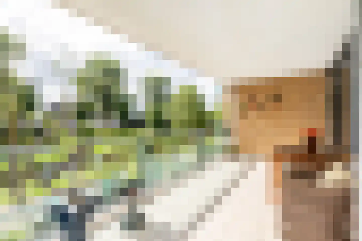 Lindestate 18 Purmerend thumbnail 14