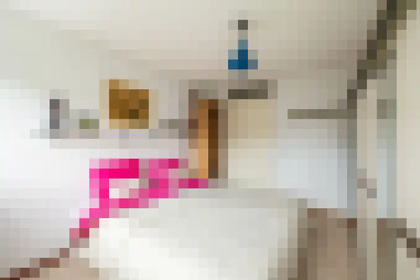 Lindestate 18 Purmerend thumbnail 24