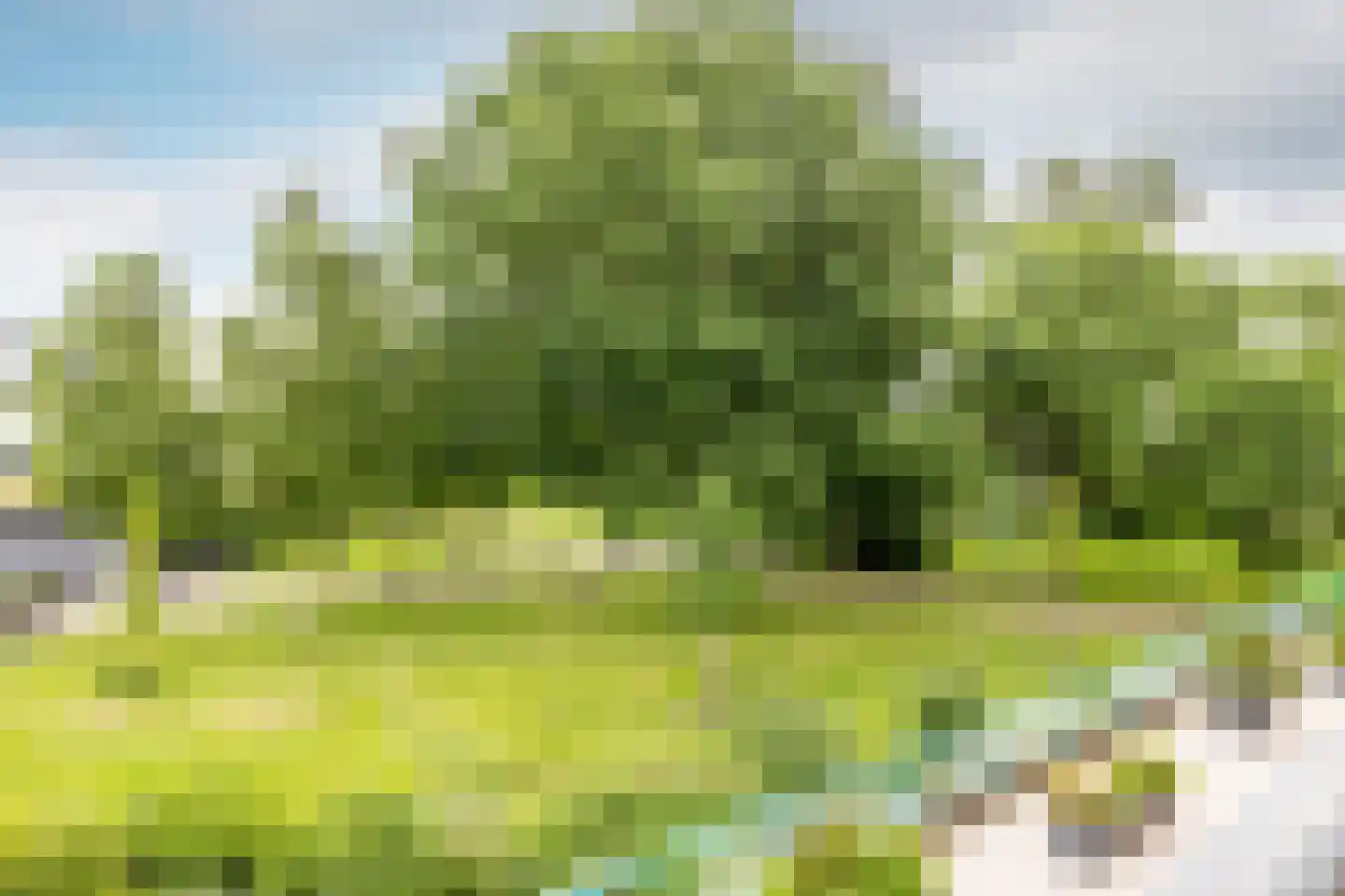 Lindestate 18 Purmerend thumbnail 32