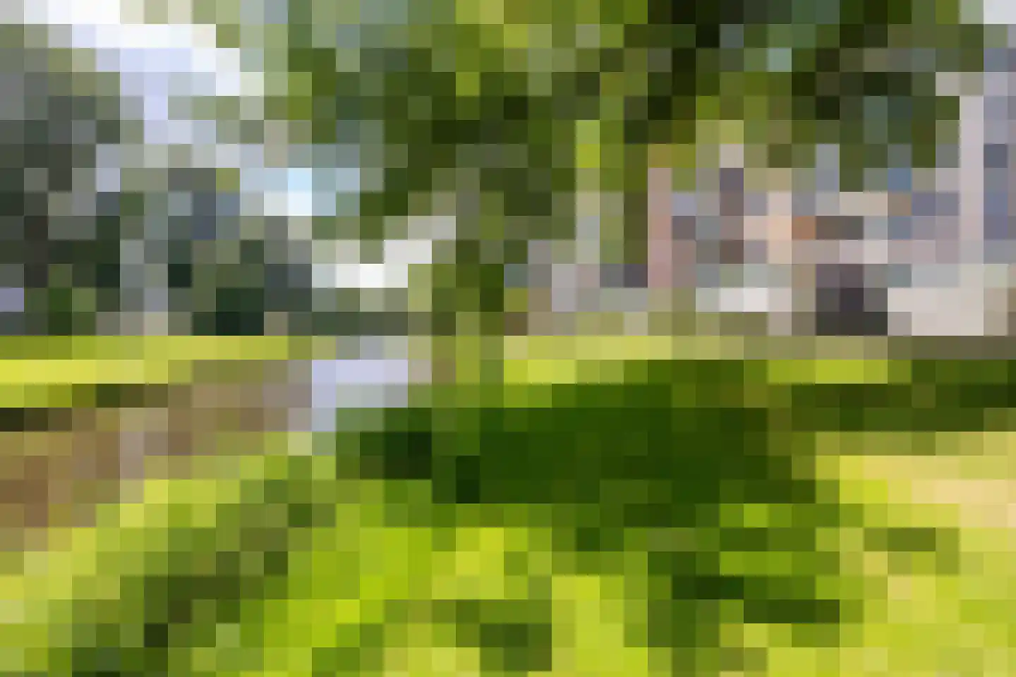 Lindestate 18 Purmerend thumbnail 35