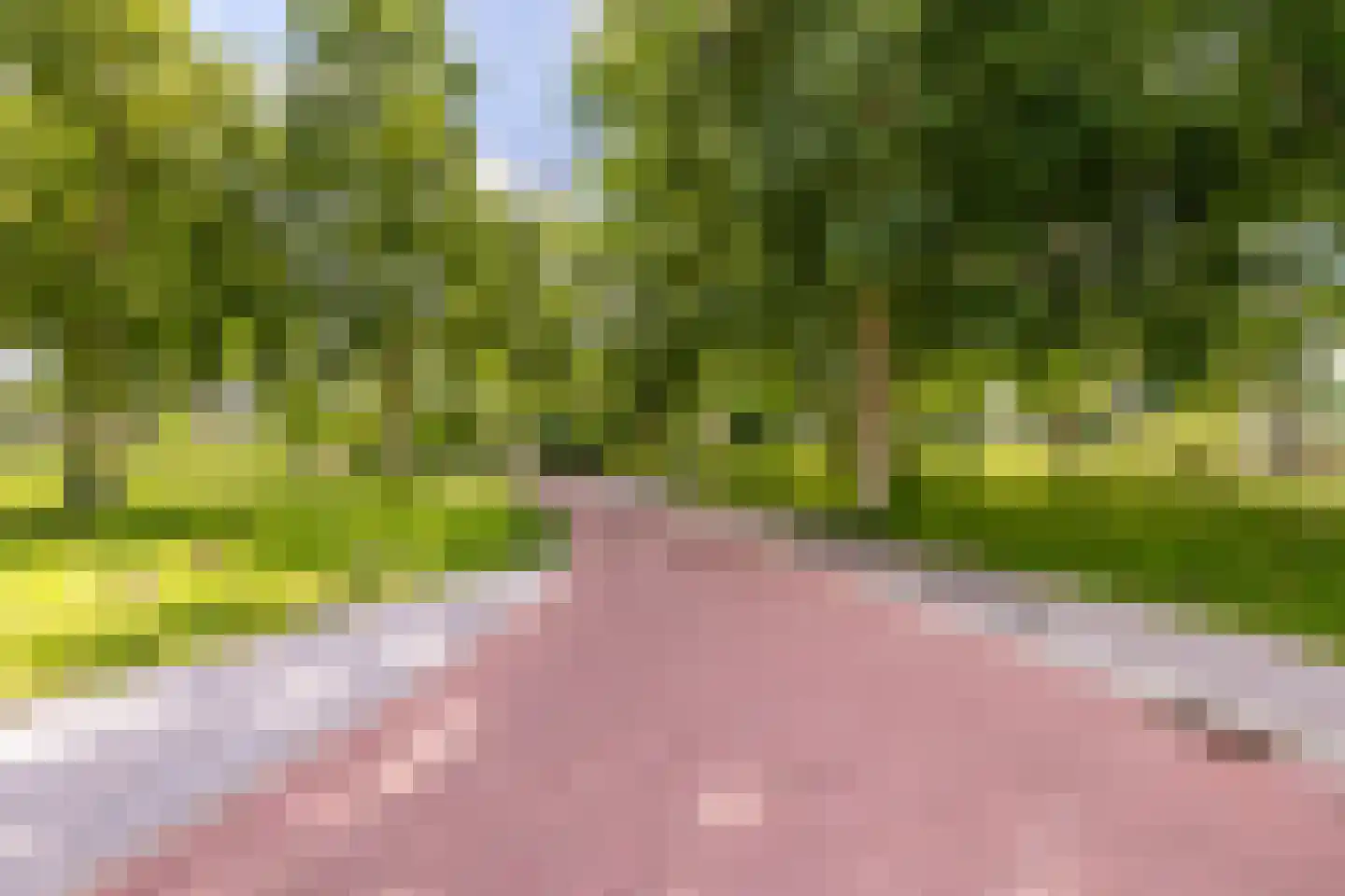 Lindestate 18 Purmerend thumbnail 36
