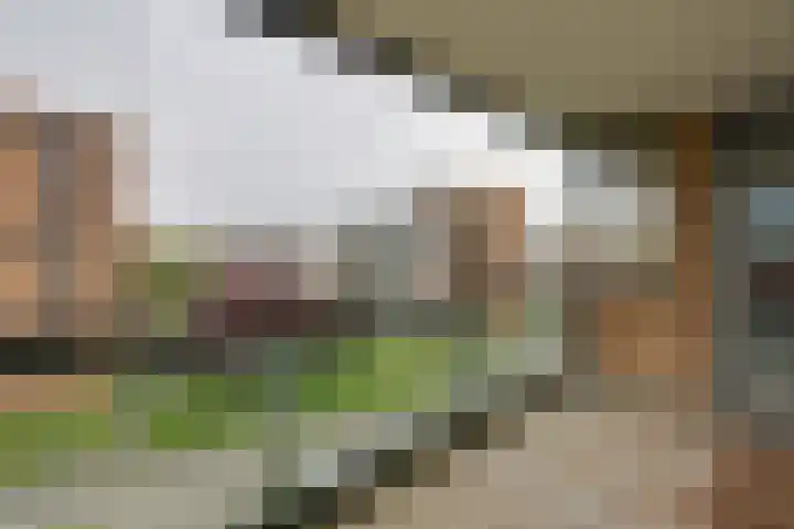 Lindestate 32 Purmerend thumbnail 18