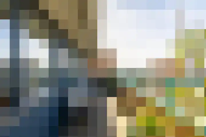 Lindestate 57 Purmerend thumbnail 20