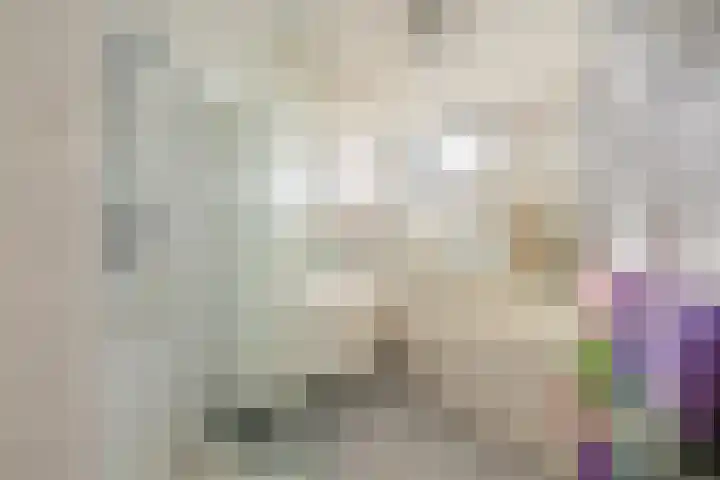 Lindestate 57 Purmerend thumbnail 37