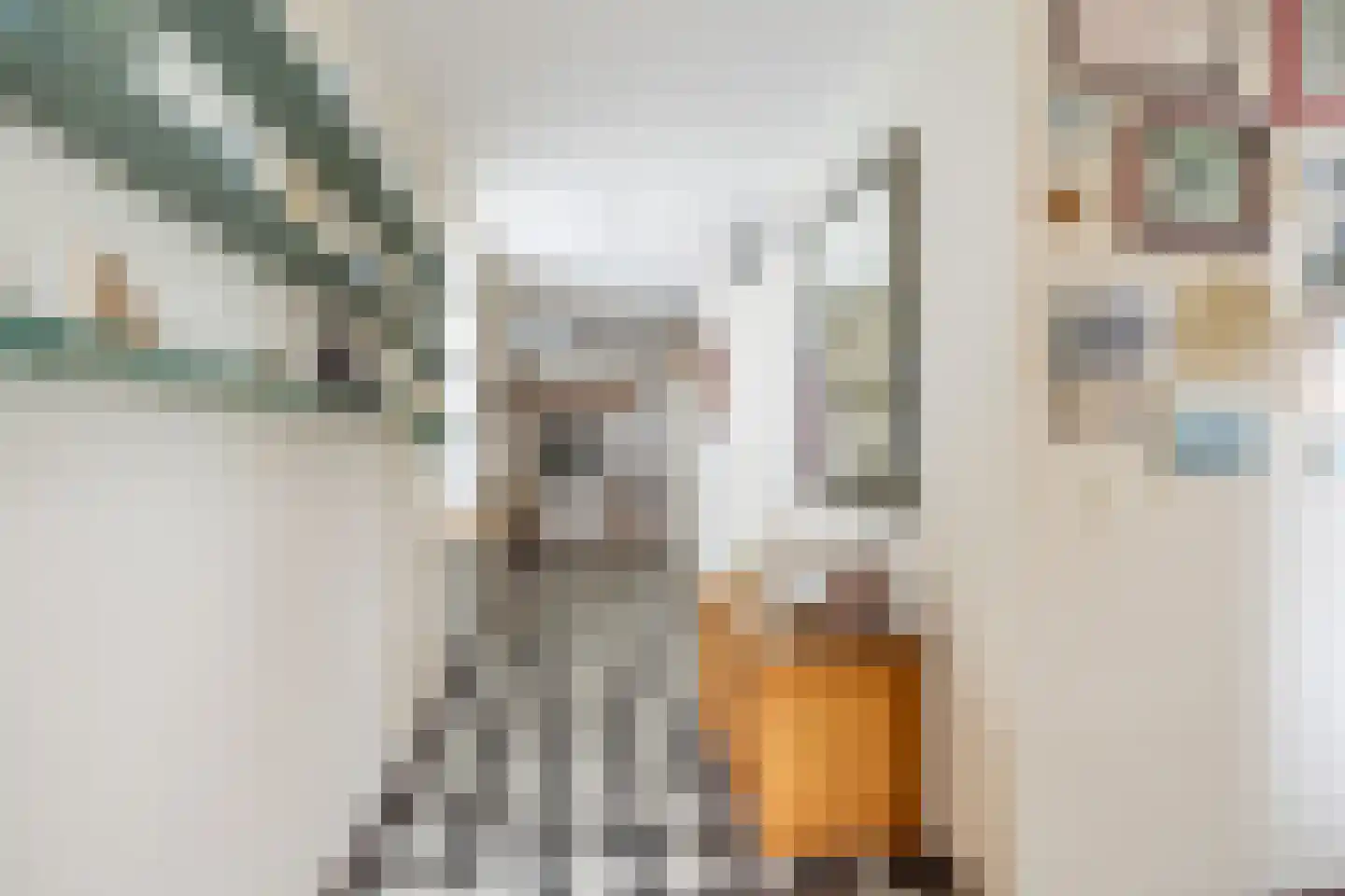Lindestate 57 Purmerend thumbnail 39