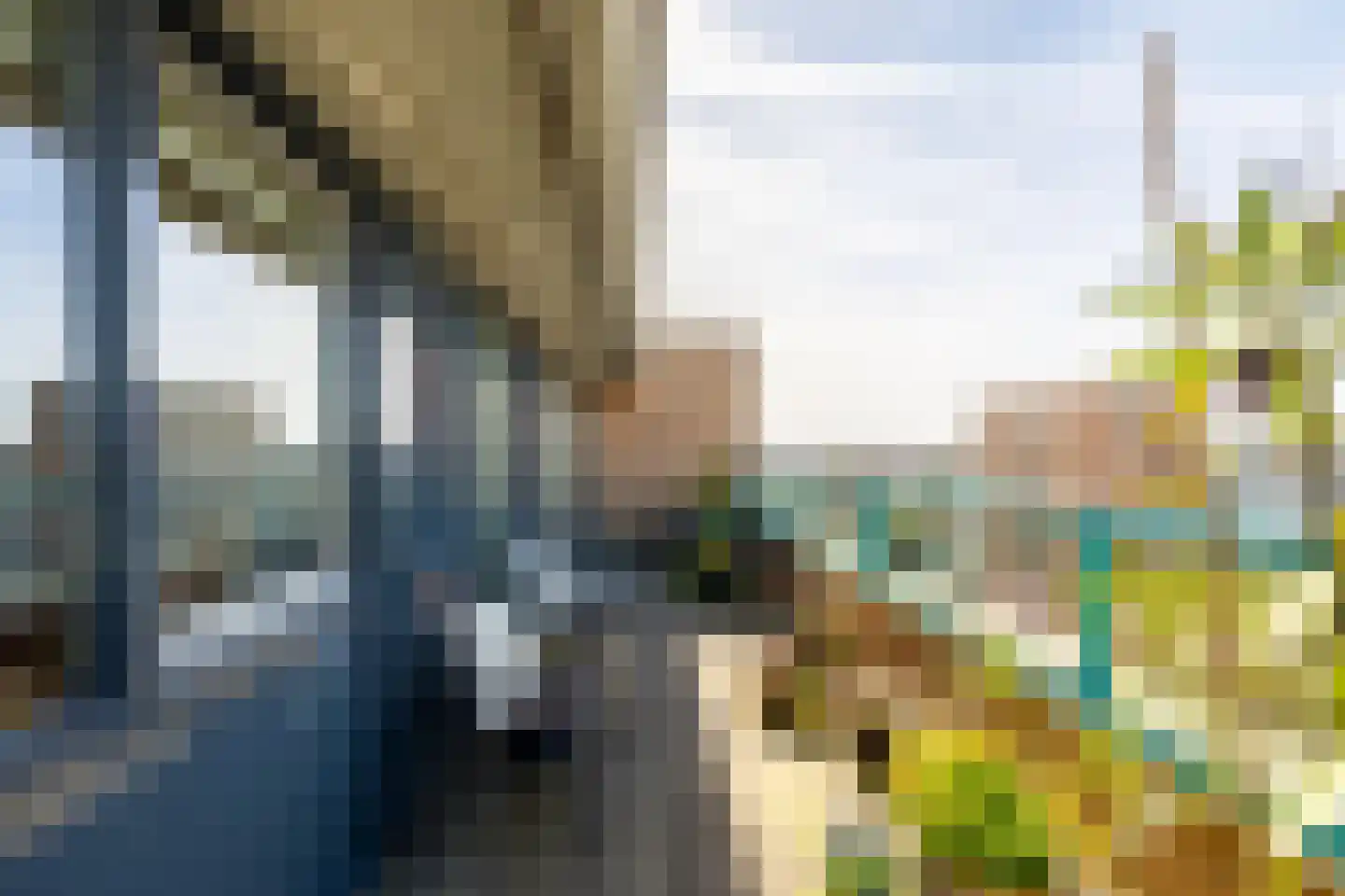 Lindestate 57 Purmerend thumbnail 4