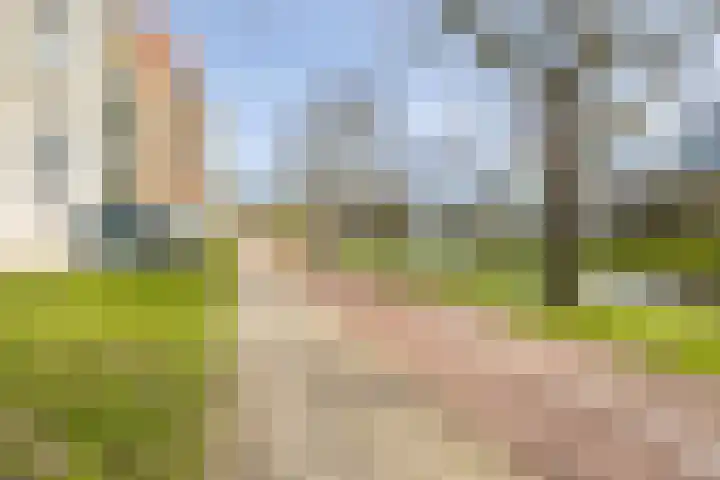 Lindestate 57 Purmerend thumbnail 43