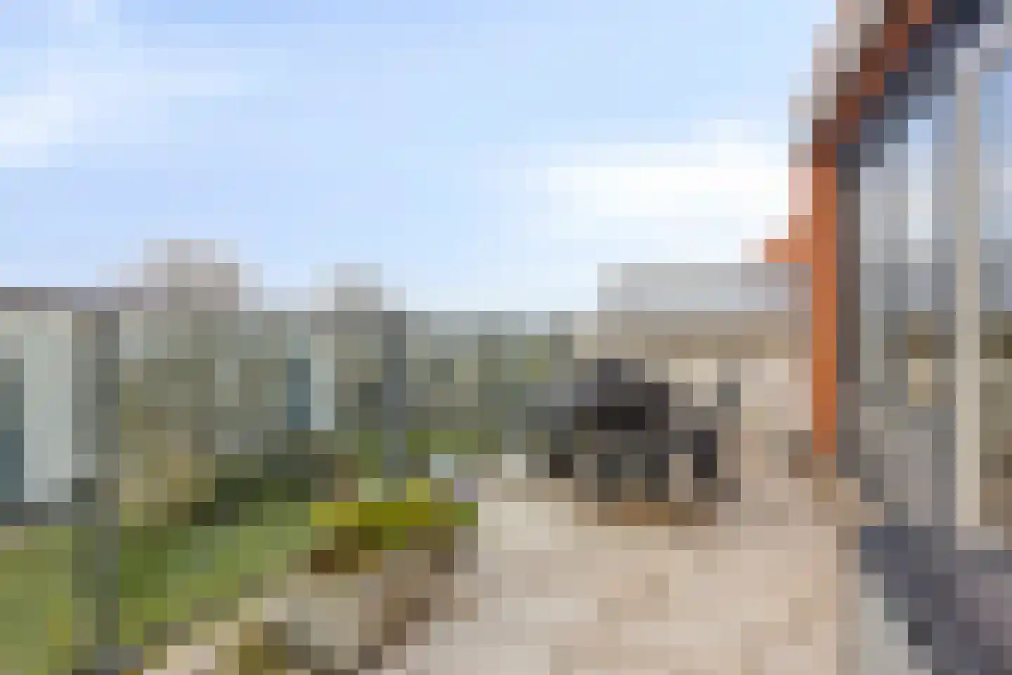 Lindestate 62 Purmerend thumbnail 19