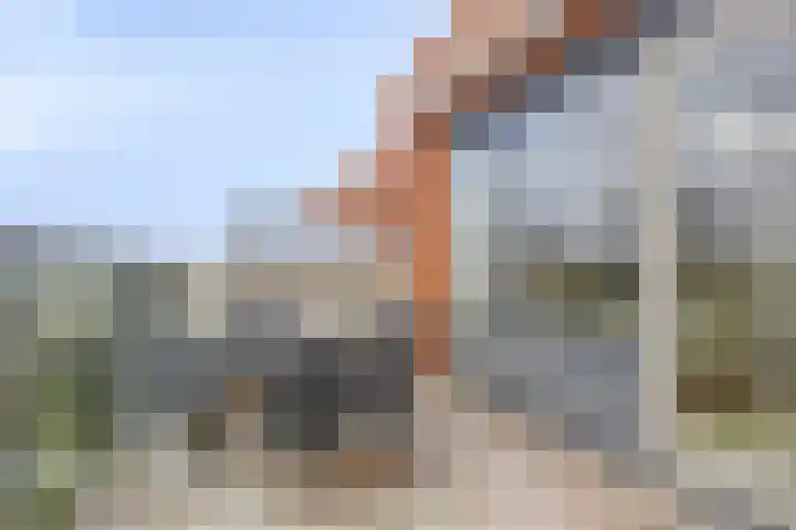 Lindestate 62 Purmerend thumbnail 20