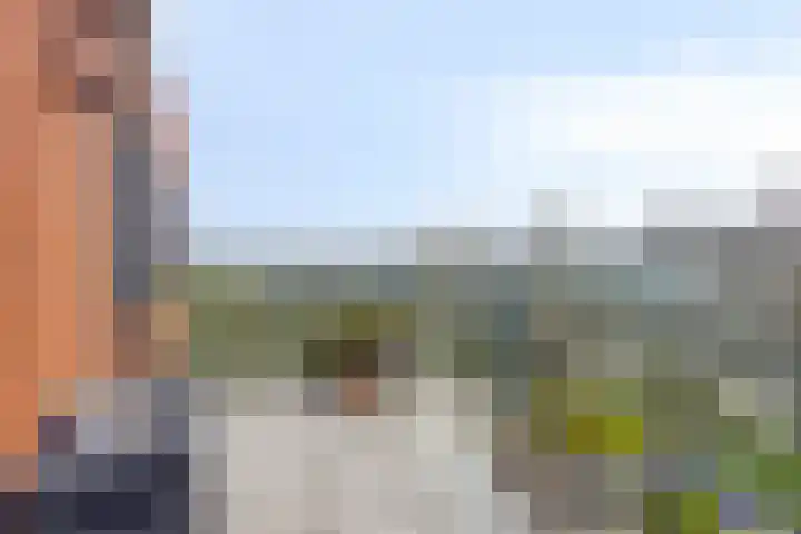 Lindestate 62 Purmerend thumbnail 21