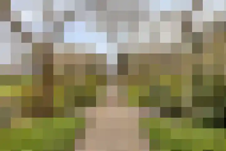 Lindestate 62 Purmerend thumbnail 30