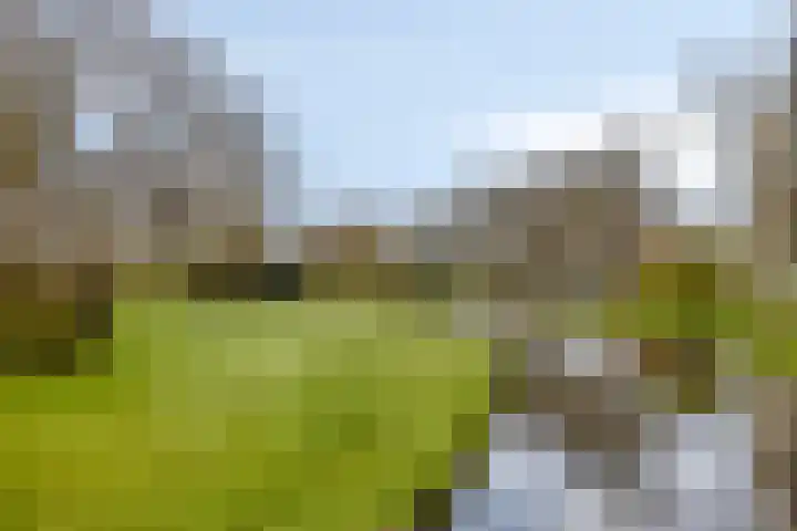 Lindestate 62 Purmerend thumbnail 33
