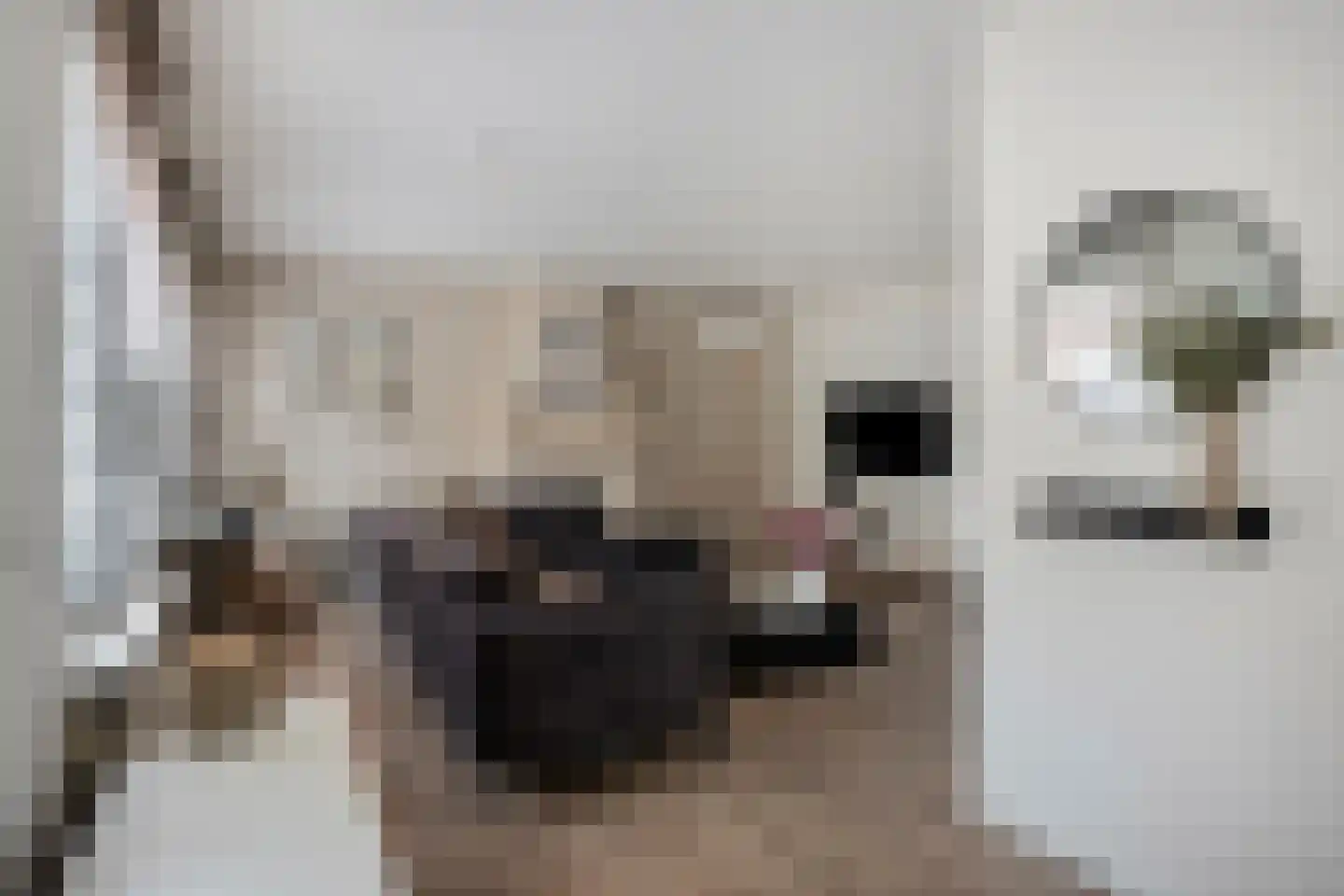 Lindestraat 1 Echt thumbnail 11