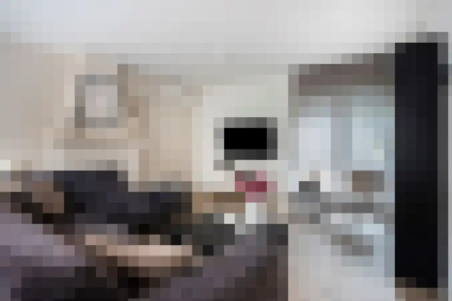 Lindestraat 1 Echt thumbnail 12