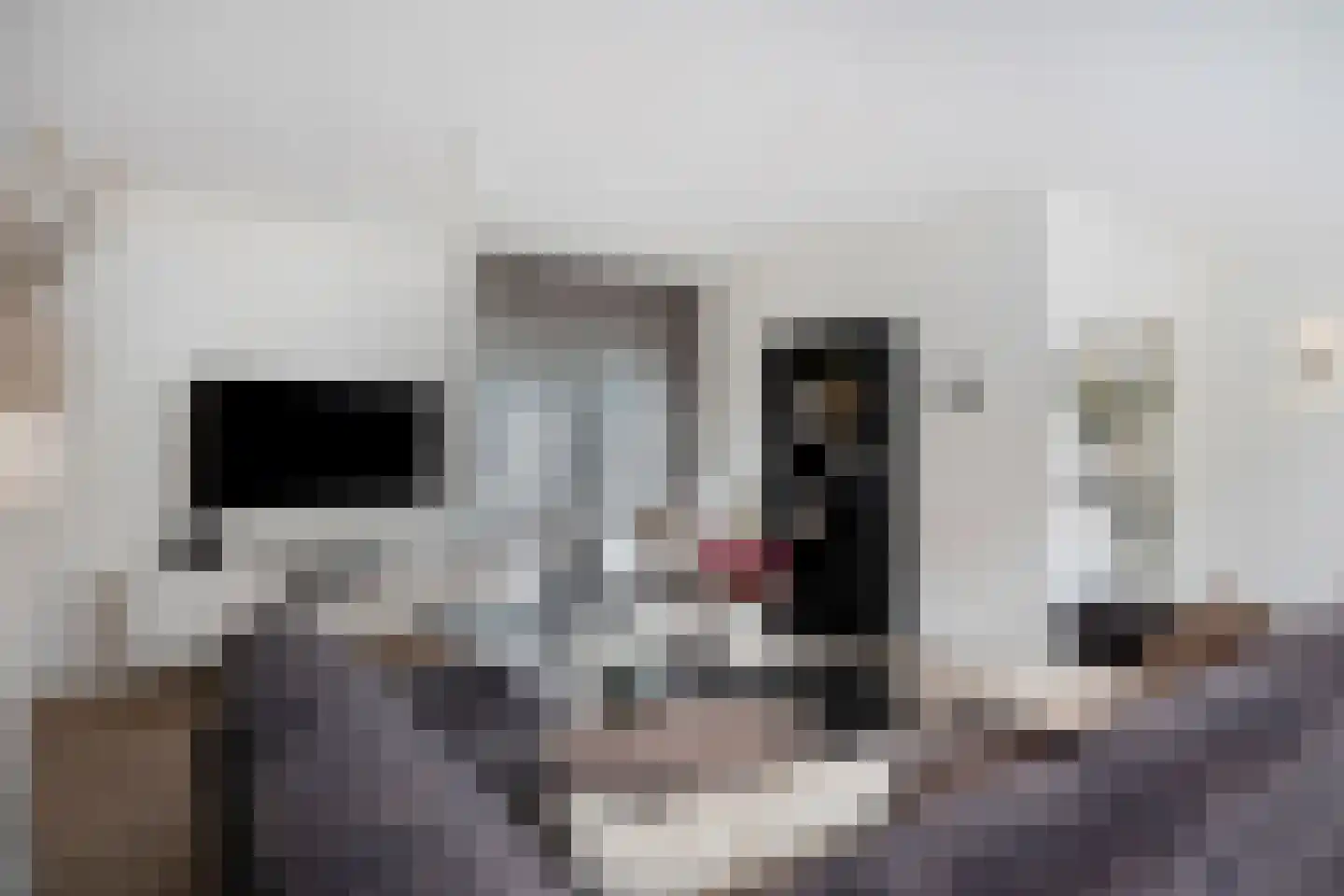 Lindestraat 1 Echt thumbnail 13