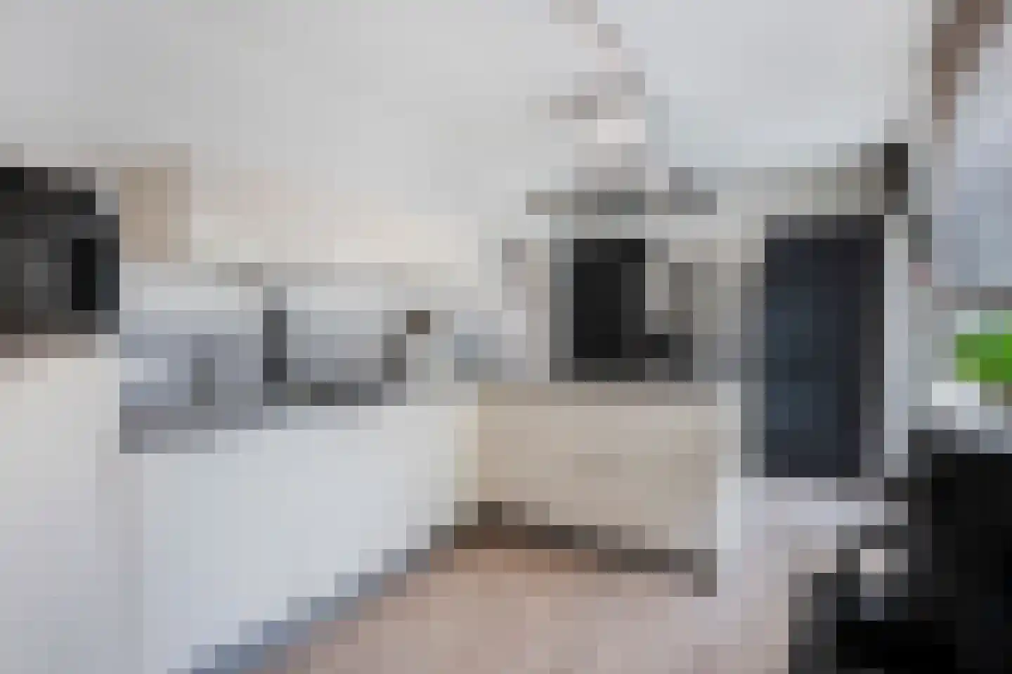 Lindestraat 1 Echt thumbnail 18