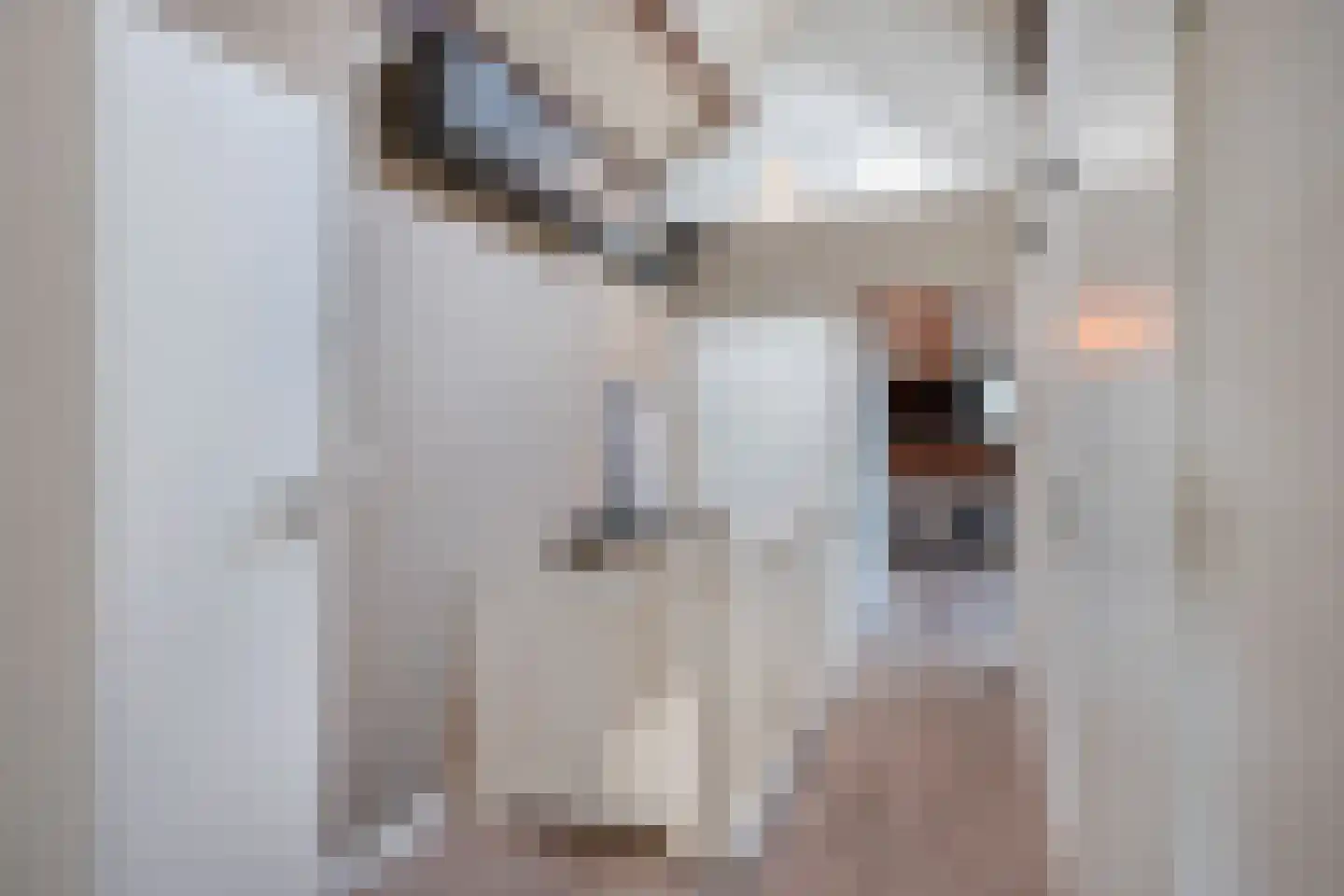 Lindestraat 1 Echt thumbnail 25