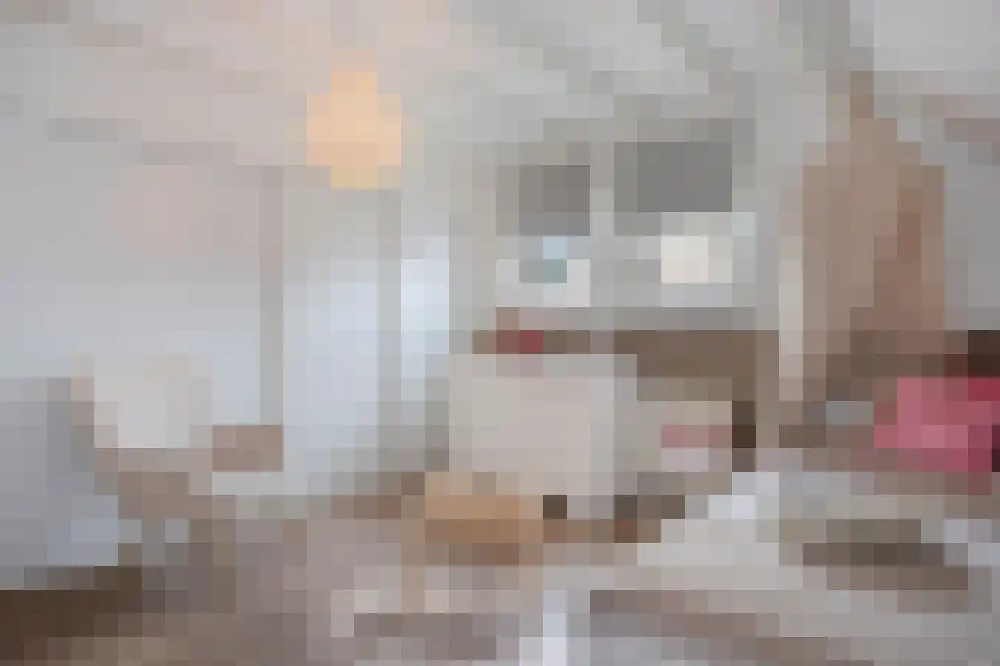 Lindestraat 1 Echt thumbnail 29