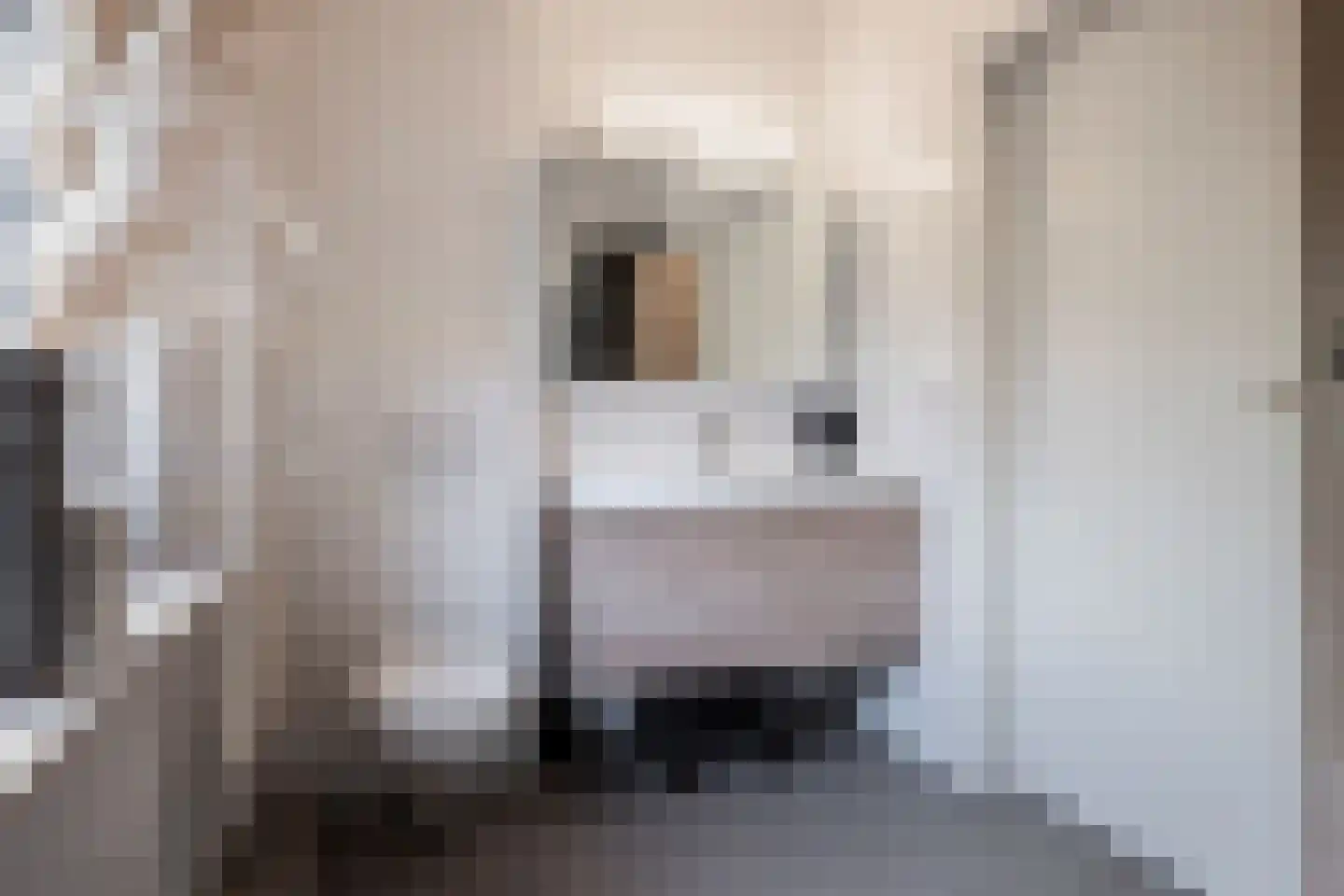 Lindestraat 1 Echt thumbnail 32