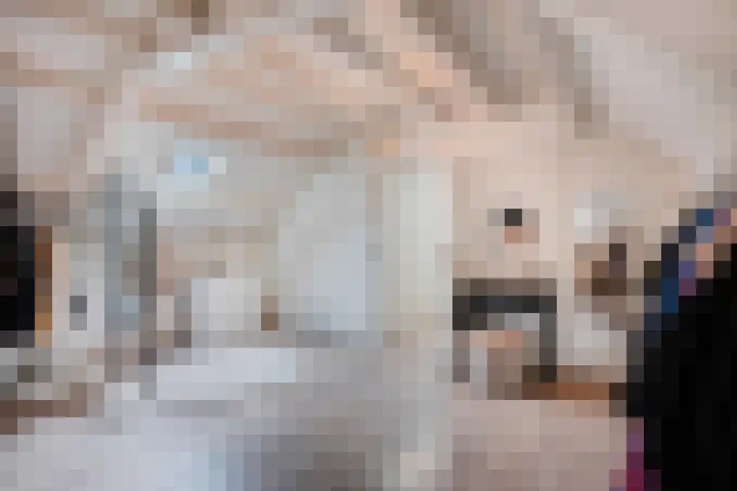 Lindestraat 1 Echt thumbnail 34