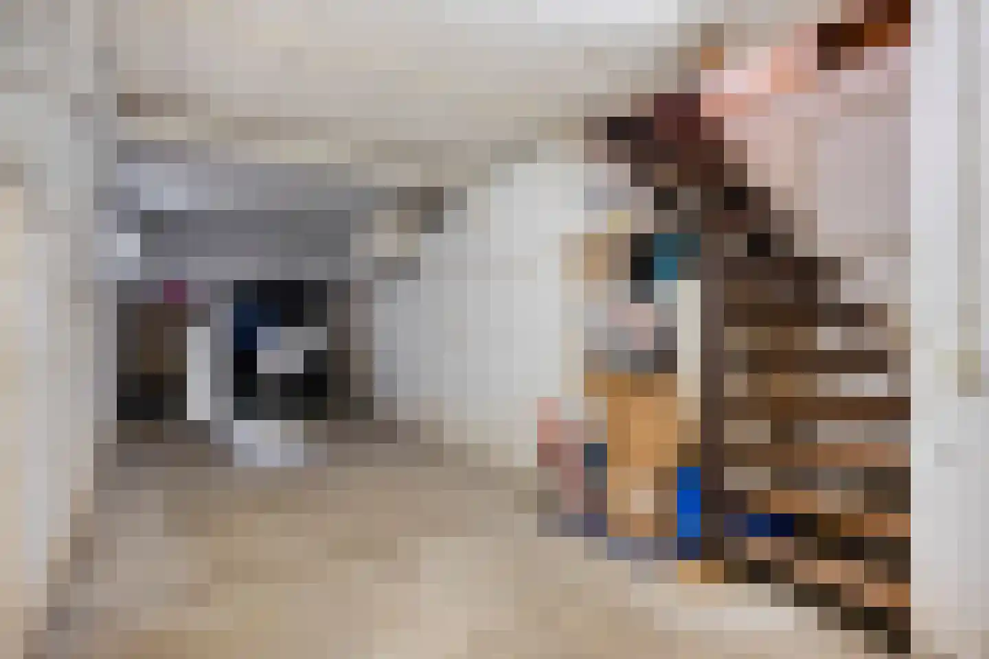 Lindestraat 1 Echt thumbnail 35