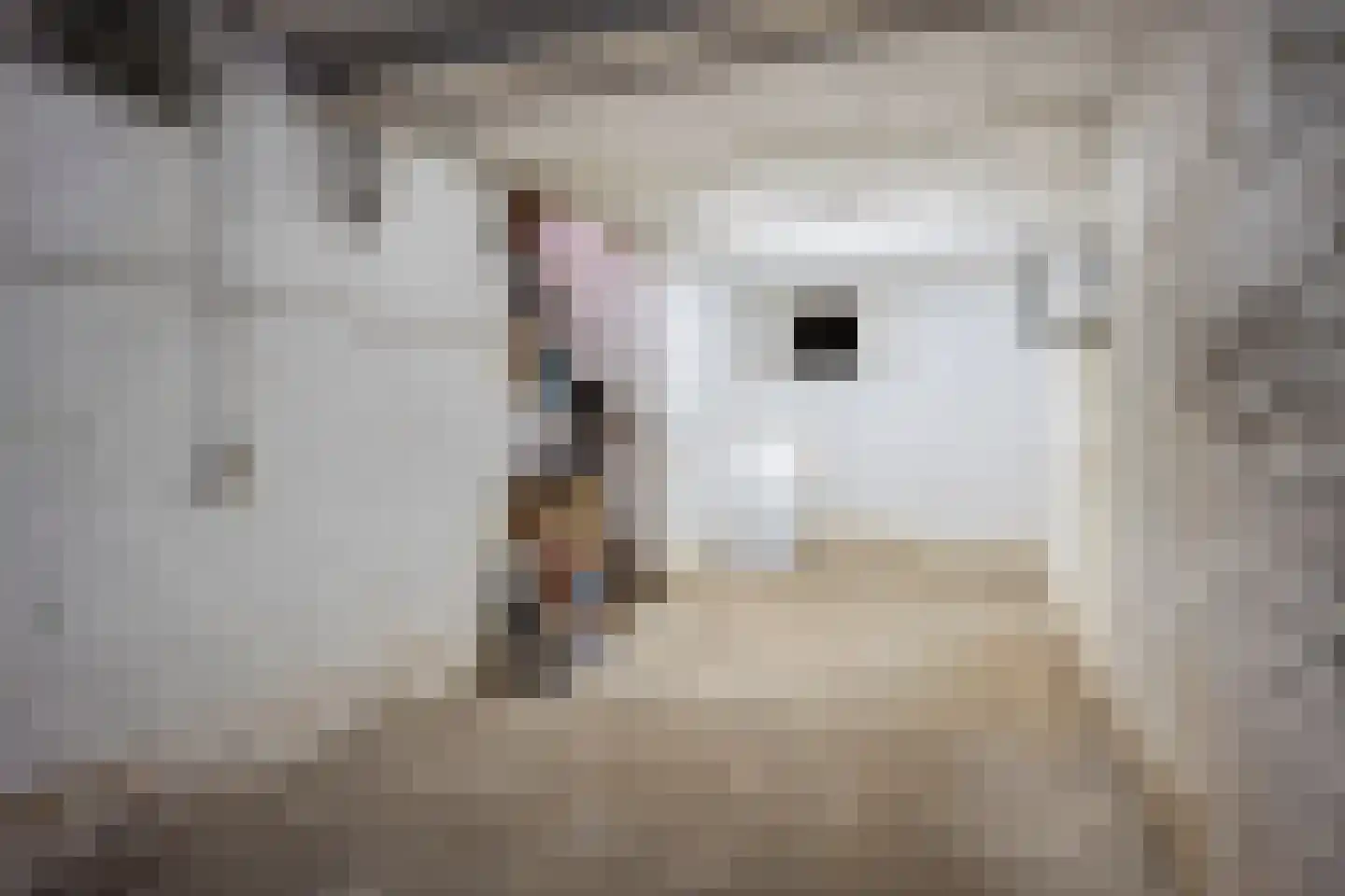 Lindestraat 1 Echt thumbnail 36