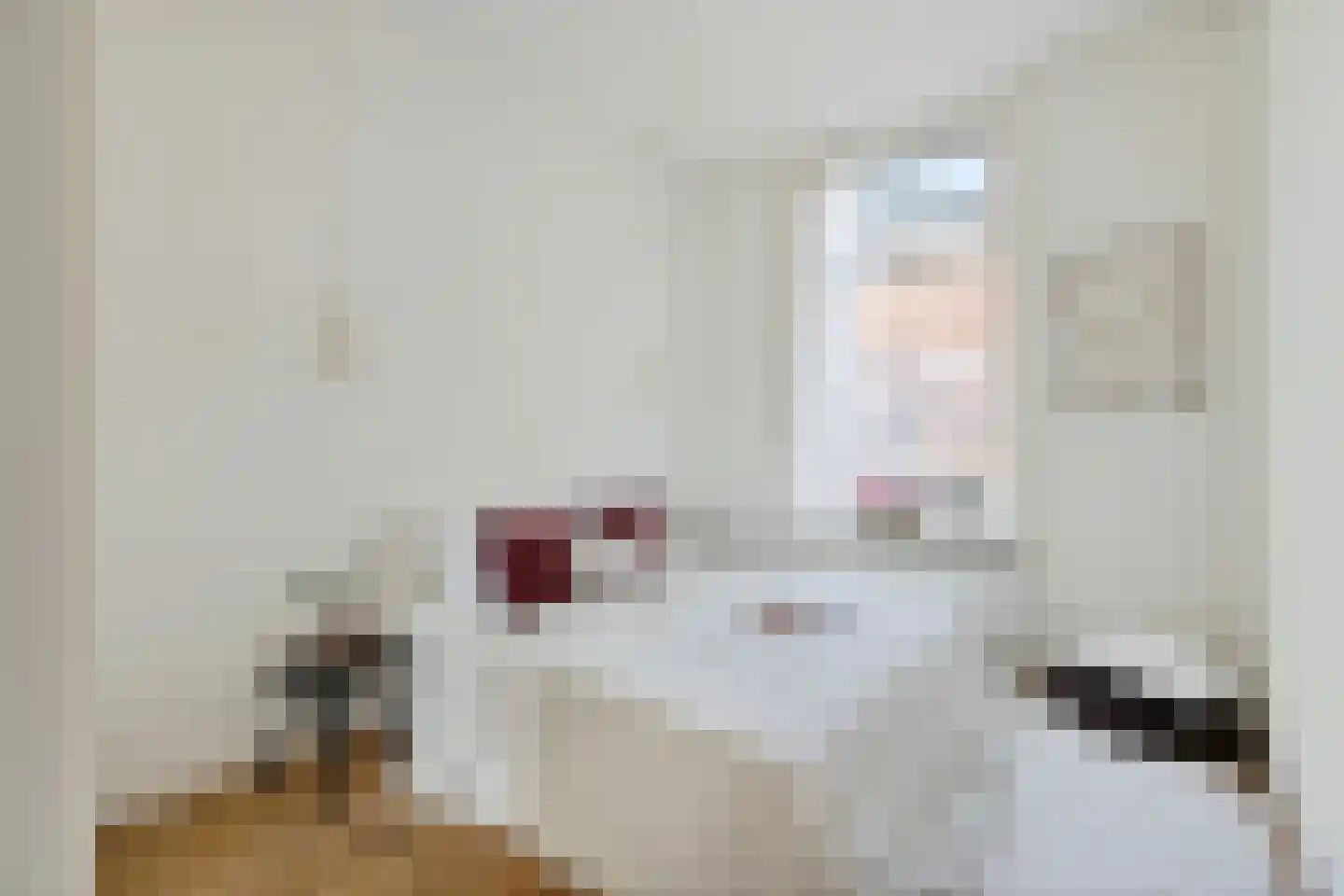 Lindestraat 1 Utrecht thumbnail 15