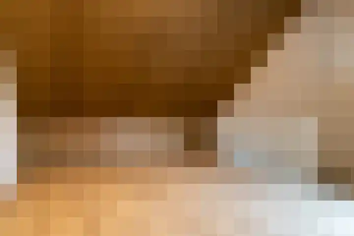 Lindestraat 10 Eethen thumbnail 24