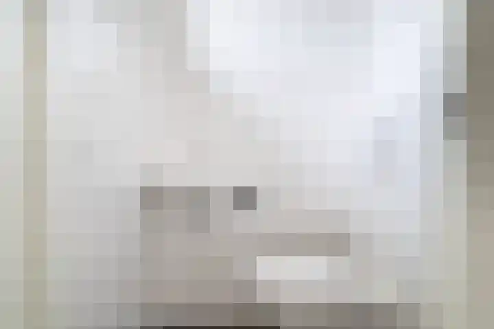 Lindestraat 10 Eethen thumbnail 7