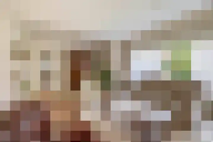 Lindestraat 101 Eersel thumbnail 10