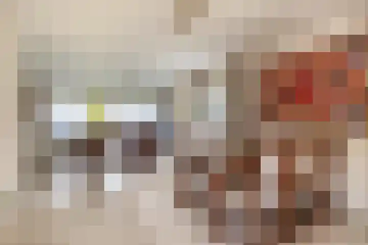 Lindestraat 101 Eersel thumbnail 14