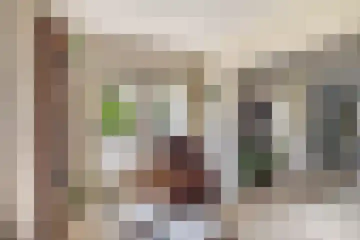 Lindestraat 101 Eersel thumbnail 16