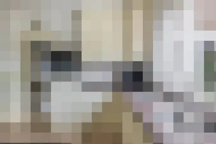 Lindestraat 101 Eersel thumbnail 19