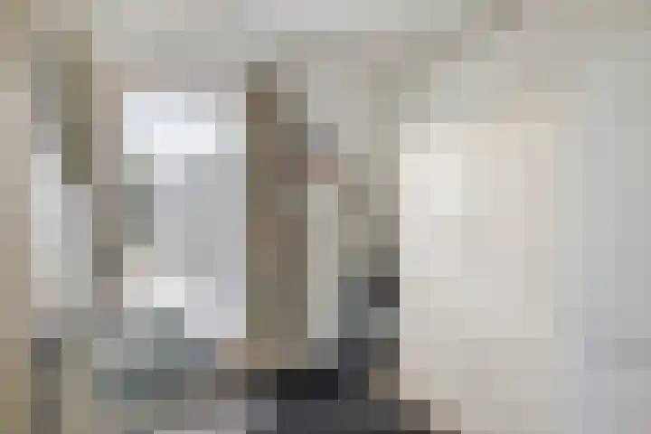 Lindestraat 101 Eersel thumbnail 20