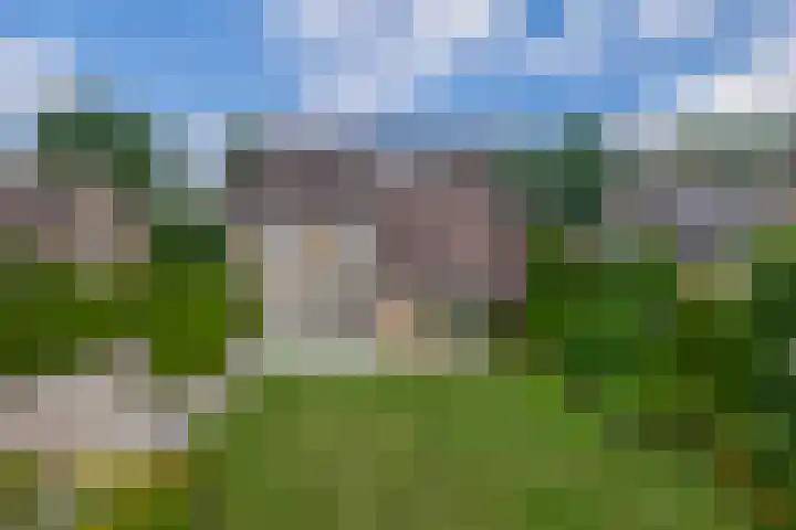 Lindestraat 101 Eersel thumbnail 38