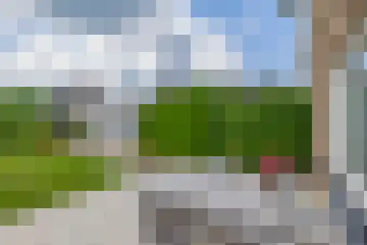 Lindestraat 101 Eersel thumbnail 42
