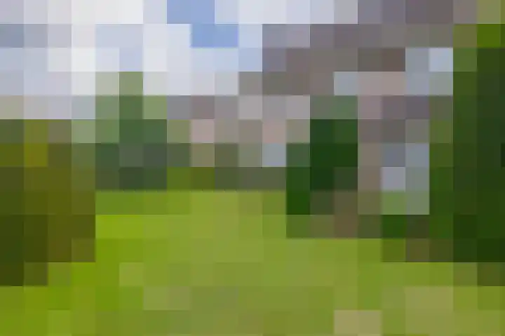 Lindestraat 101 Eersel thumbnail 48