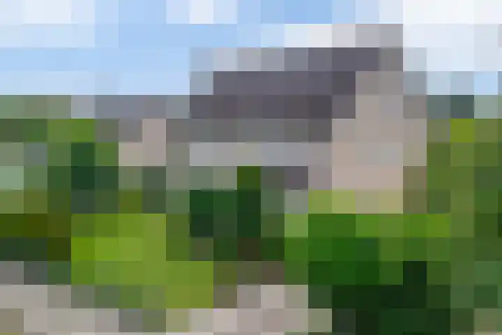 Lindestraat 101 Eersel thumbnail 50