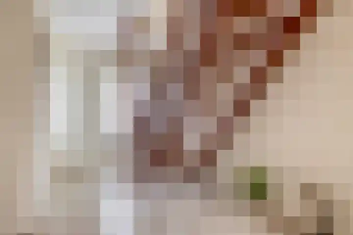 Lindestraat 101 Eersel thumbnail 6