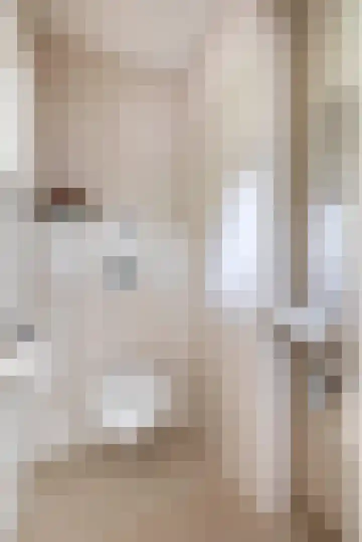 Lindestraat 101 Eersel thumbnail 8